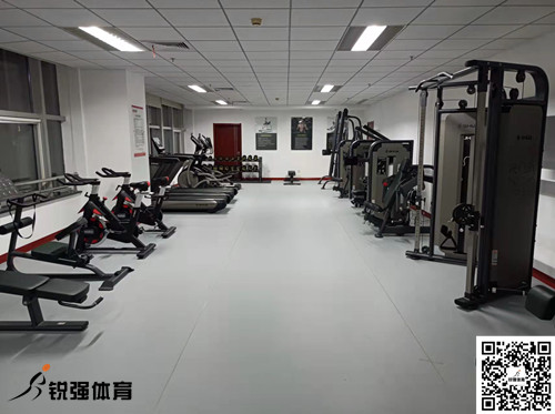 济南某集团采购的米兰·(milan)中国官方网站体育提供的健身器材