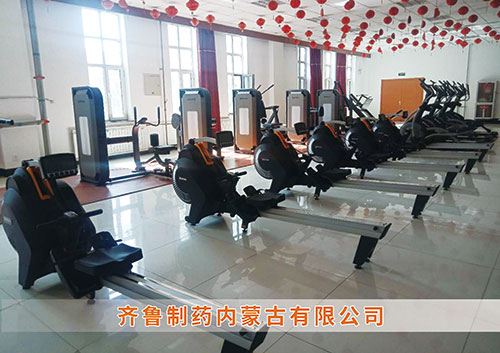 米兰·(milan)中国官方网站体育为​齐鲁制药内蒙古分公司打造健身房